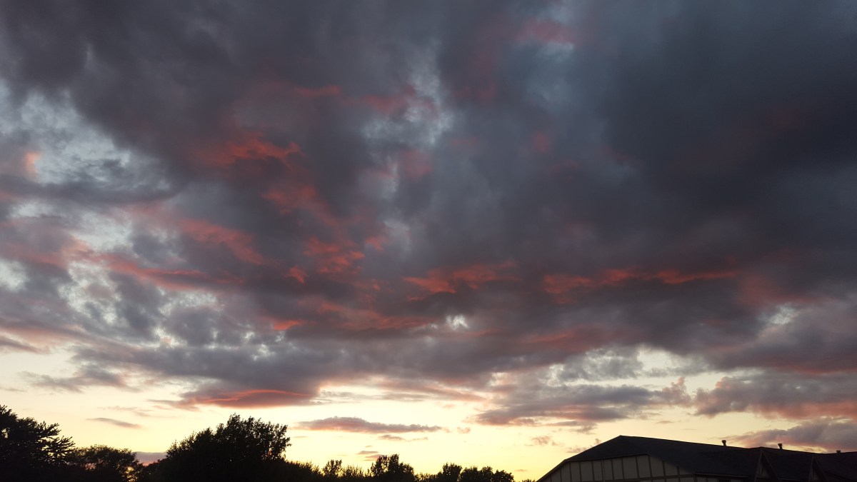 Am I a Songbird, a Crow, or&nbsp;Silent?